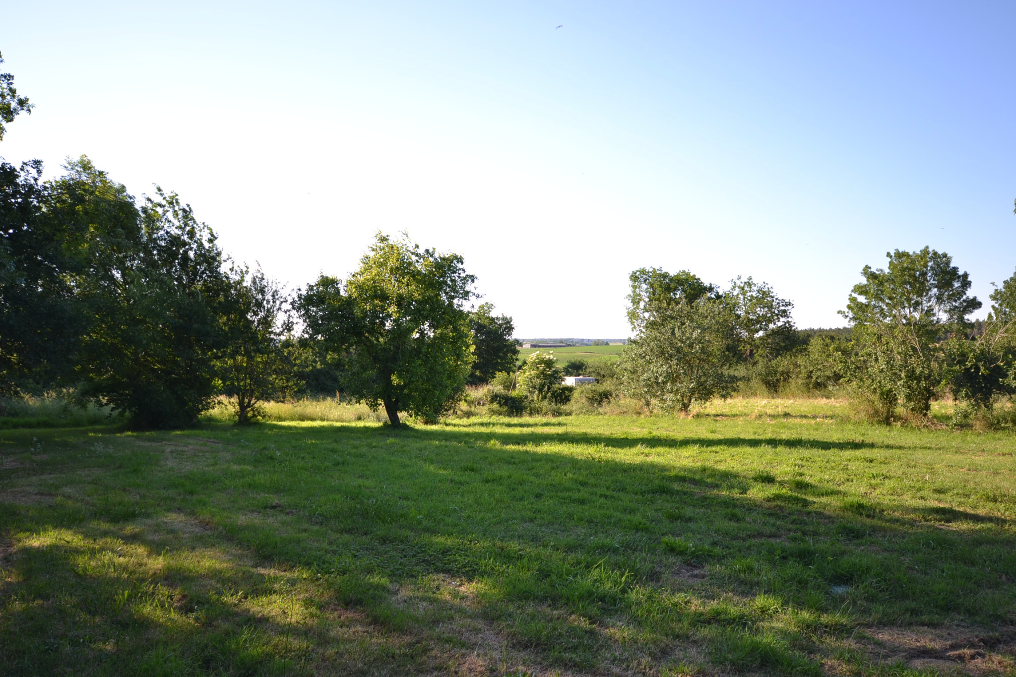 MONSIREIGNE, à mi-chemin entre Chantonnay et Pouzauges