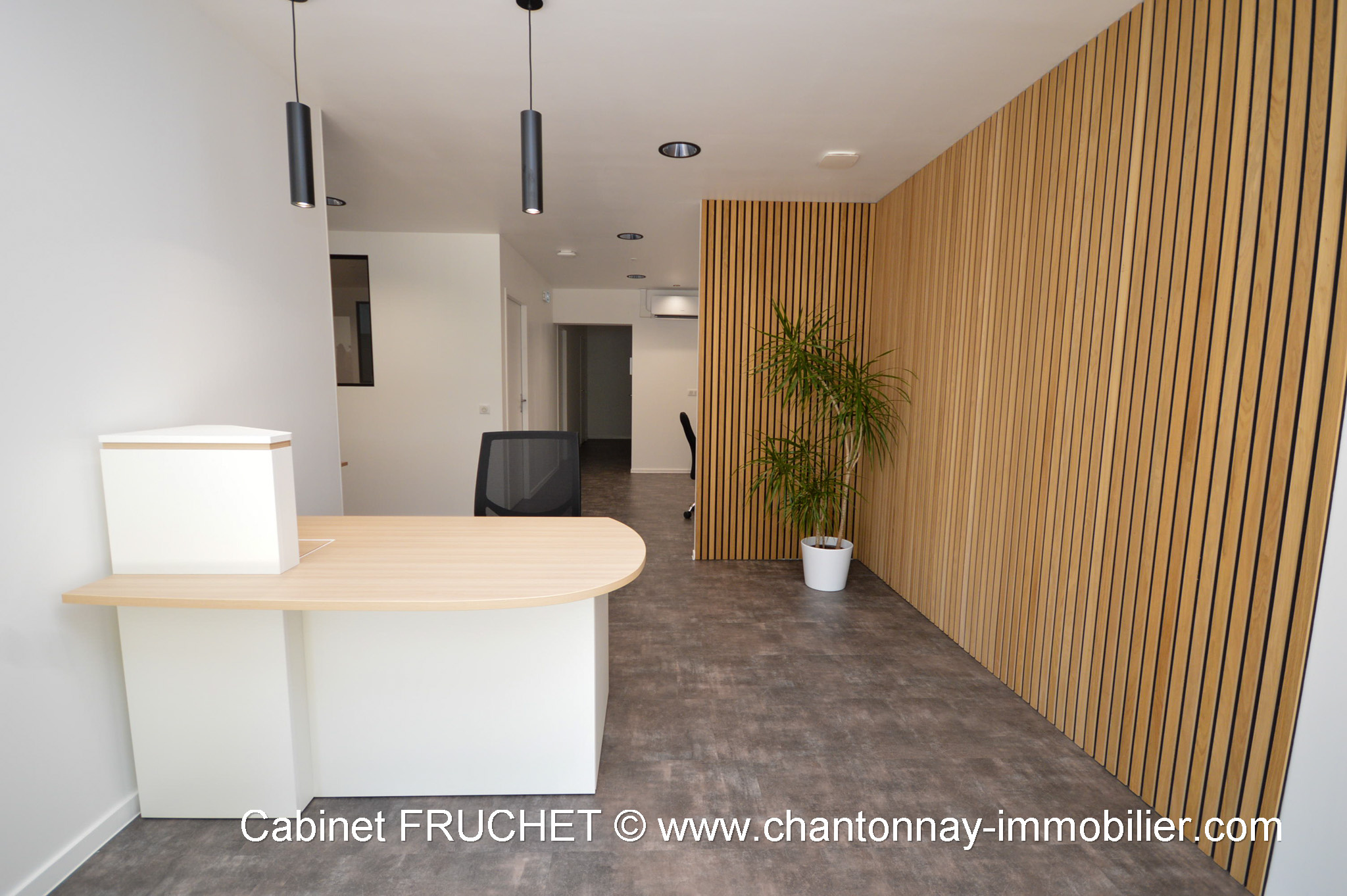 CHANTONNAY - Beau local professionnel